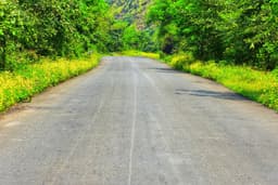 Across India: A Journey of Resilience, Heritage, and Discovery