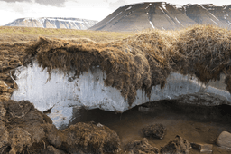 Alaskan Village Faces Imminent Relocation Due to Climate Change
