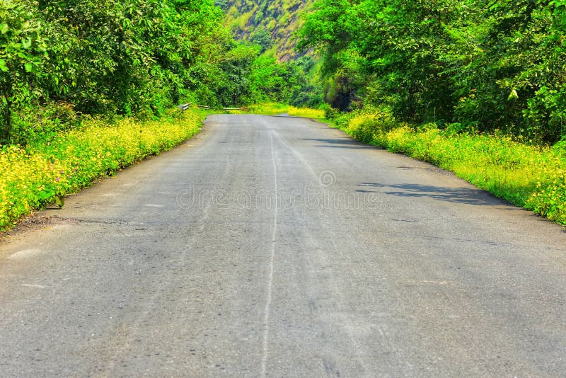 Across India: A Journey of Resilience, Heritage, and Discovery
