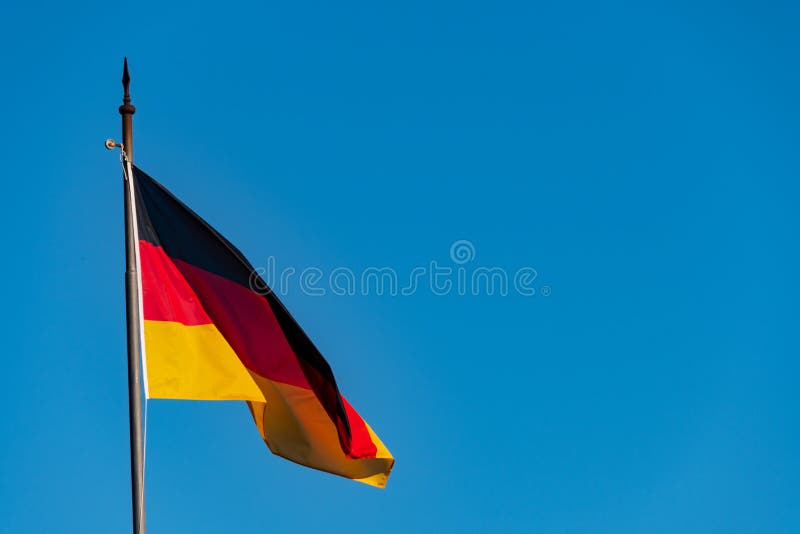 AfD Leads in Brandenburg Election, Poised for Possible Victory